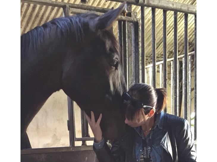 {{currentPhoto.altText}} billede {{currentPhoto.number}}