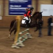 Anden særlig race Nelly