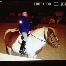 Shetlænder Margrethe