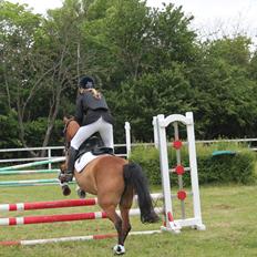 Anden særlig race Lilo