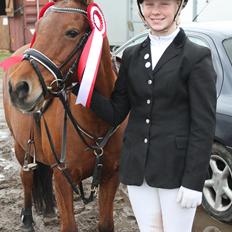 Anden særlig race Lilo