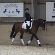 Oldenborg Overmoselund´s Conti
