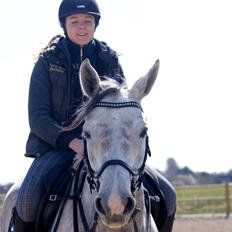 Dansk Varmblod Hip-Hop's La Grenouille