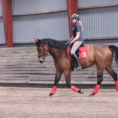 Oldenborg Lyna Bedsted