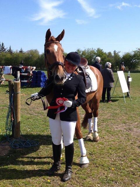 Dansk Varmblod Shipira billede 17