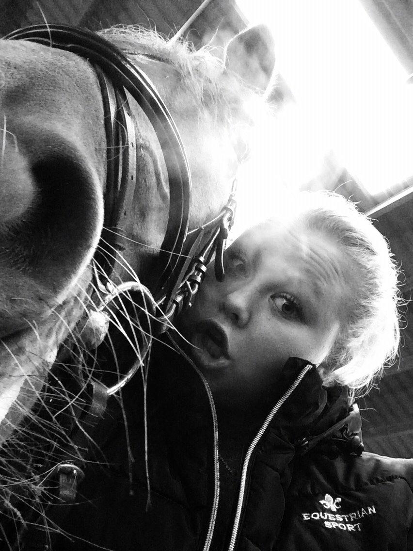 Dansk Varmblod Shipira billede 29