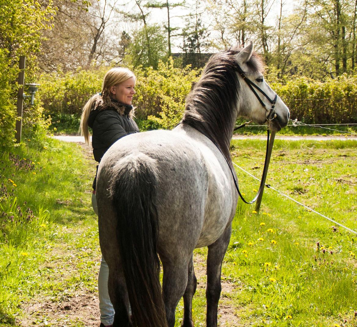 Anden særlig race Takita billede 3