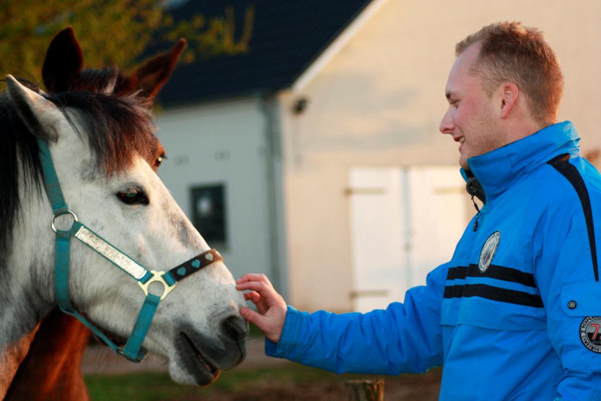 Anden særlig race Takita billede 5