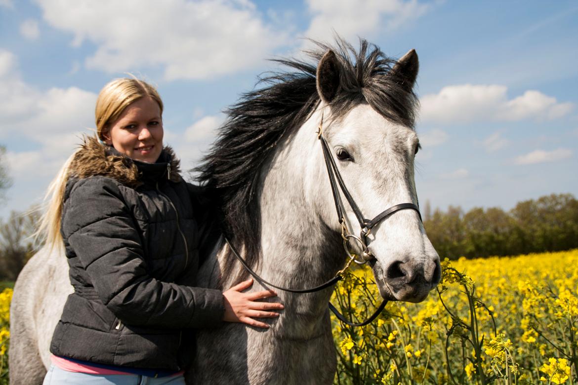 Anden særlig race Takita billede 6