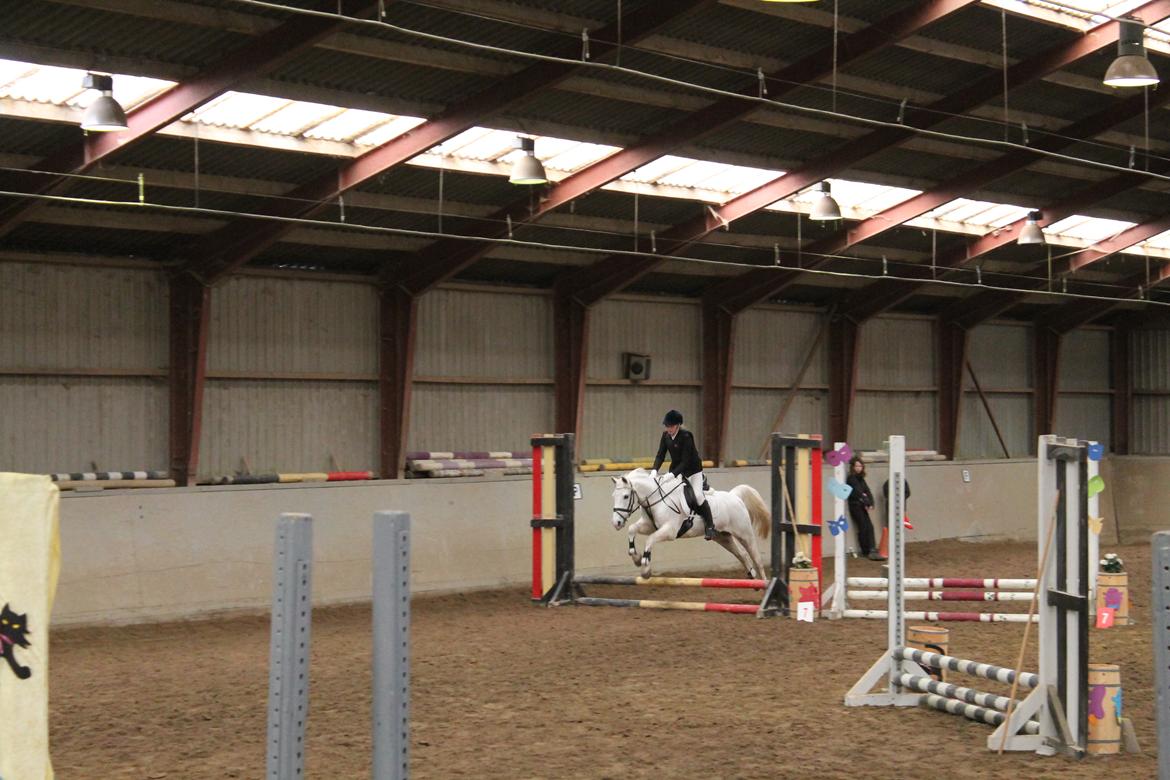 Anden særlig race Princess - Der bliver os spunget en gang imellem, dog ikke så højt ;-) billede 9