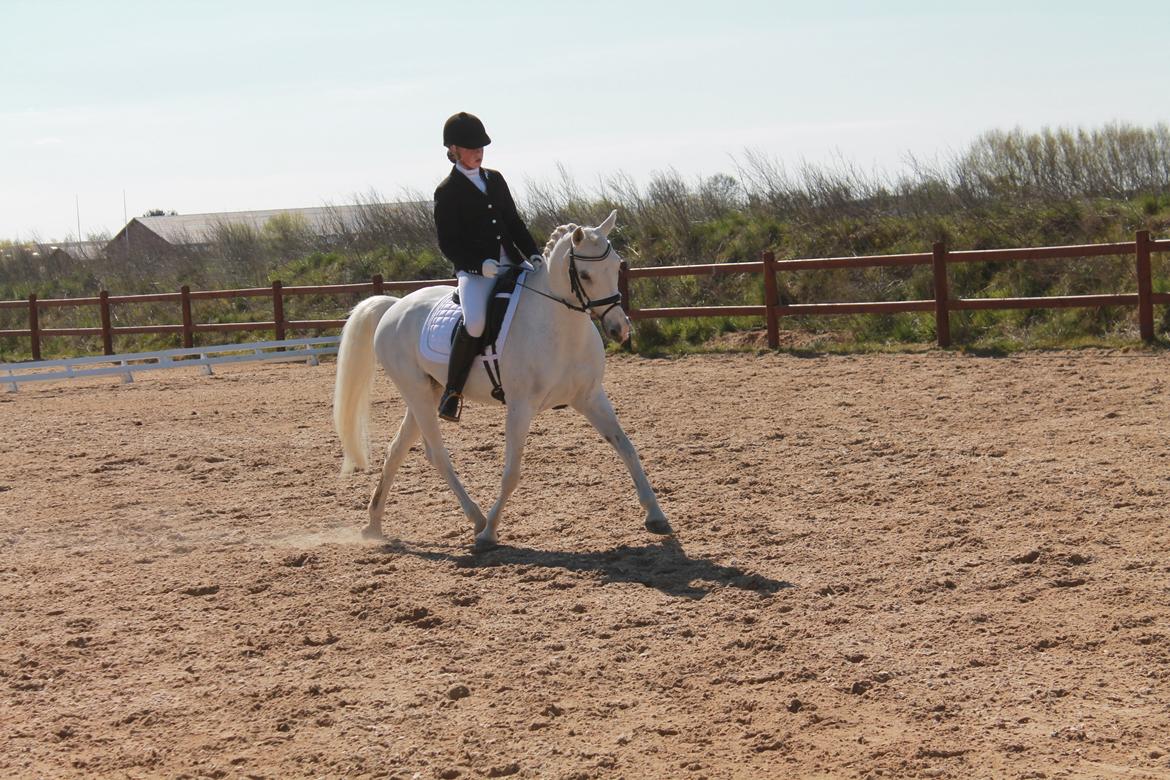 Anden særlig race Princess - 1 kvali af amagermesterskabet i en LA2 i DSM - Maj 2015 billede 8