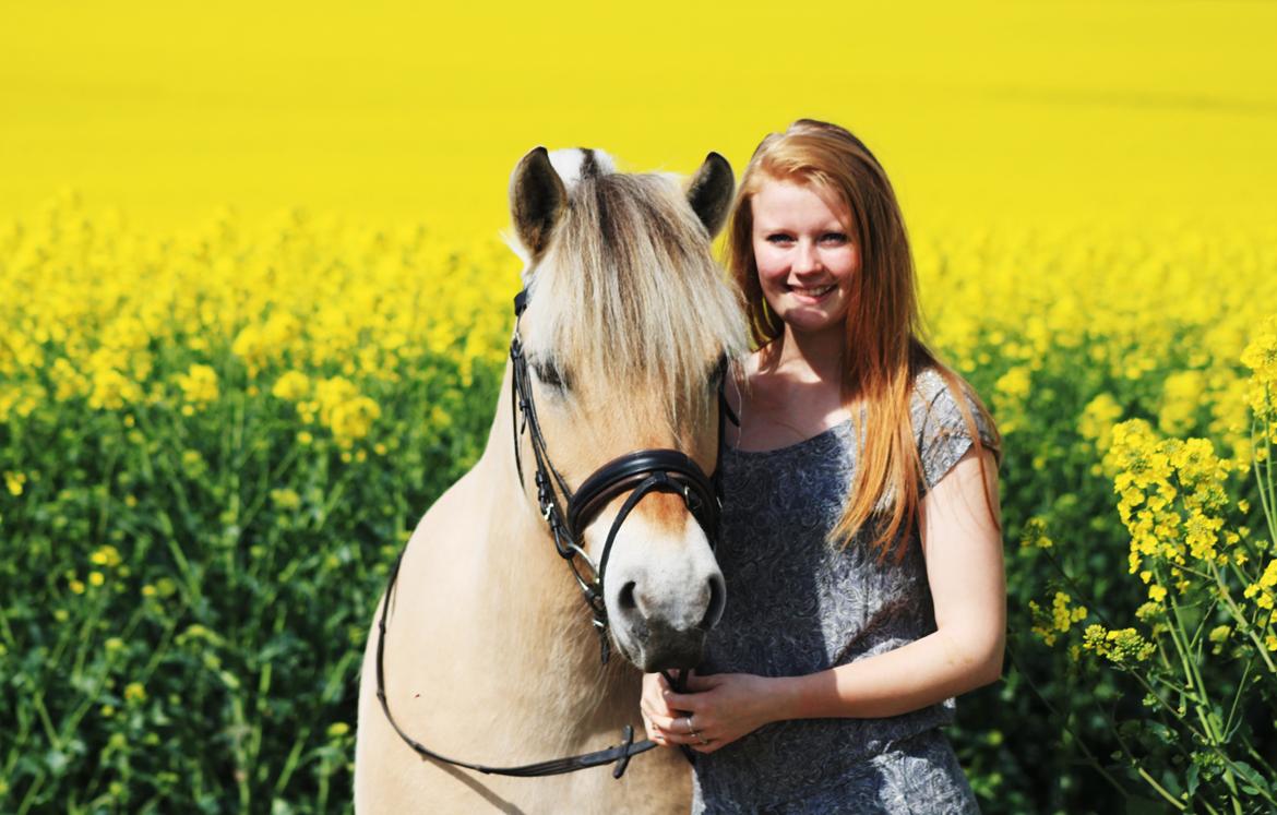 Fjordhest Estel Tidselbjerg billede 3