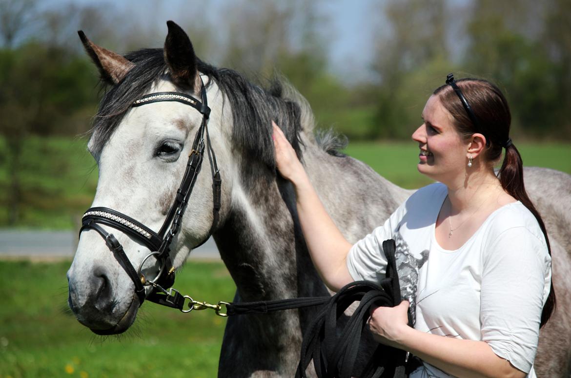 Dansk Varmblod Lambrié Vejen (Avlshoppe) - NYT: Træner med Snedronningen :) billede 38