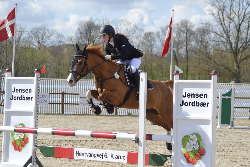 DSP Flicha - 0/0 i LB* i Frederikshavn  billede 1