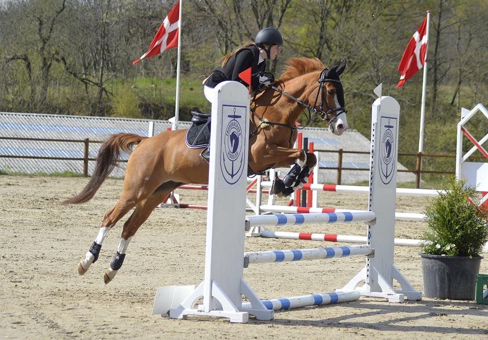 DSP Flicha - 0/0 i LB* i Frederikshavn  billede 2