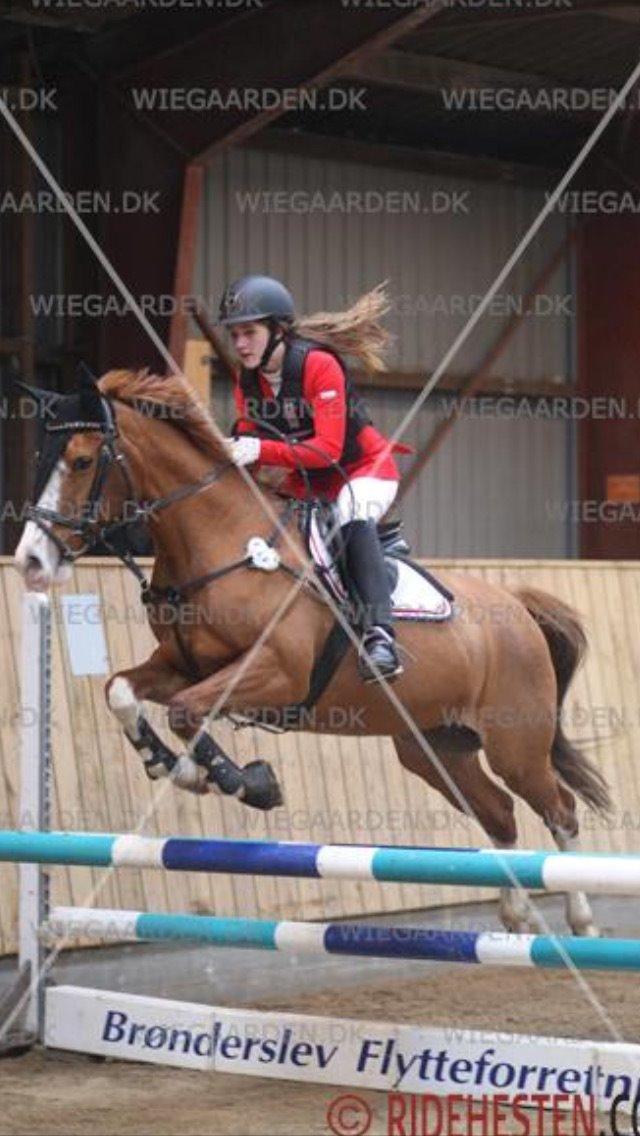 DSP Flicha - LB* Brønderslev billede 5