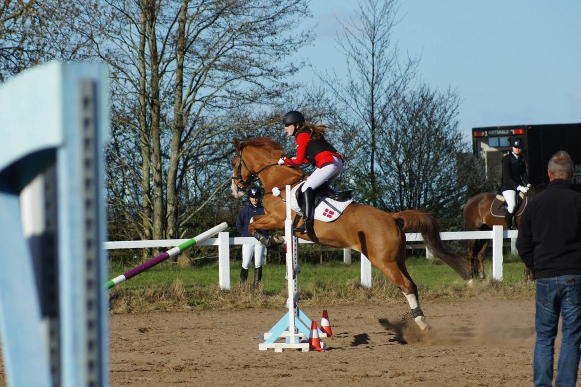 DSP Flicha - LB* NØRK rideklub billede 7