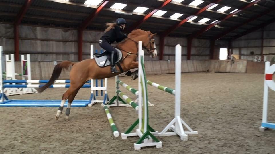 DSP Flicha billede 8