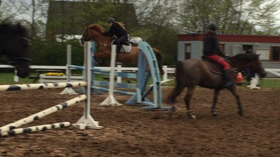 DSP Flicha billede 10