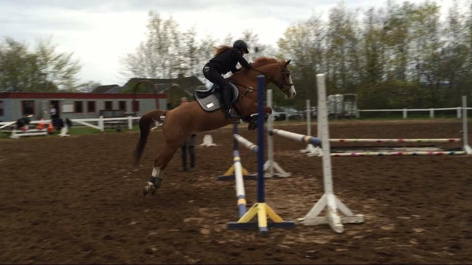 DSP Flicha billede 9