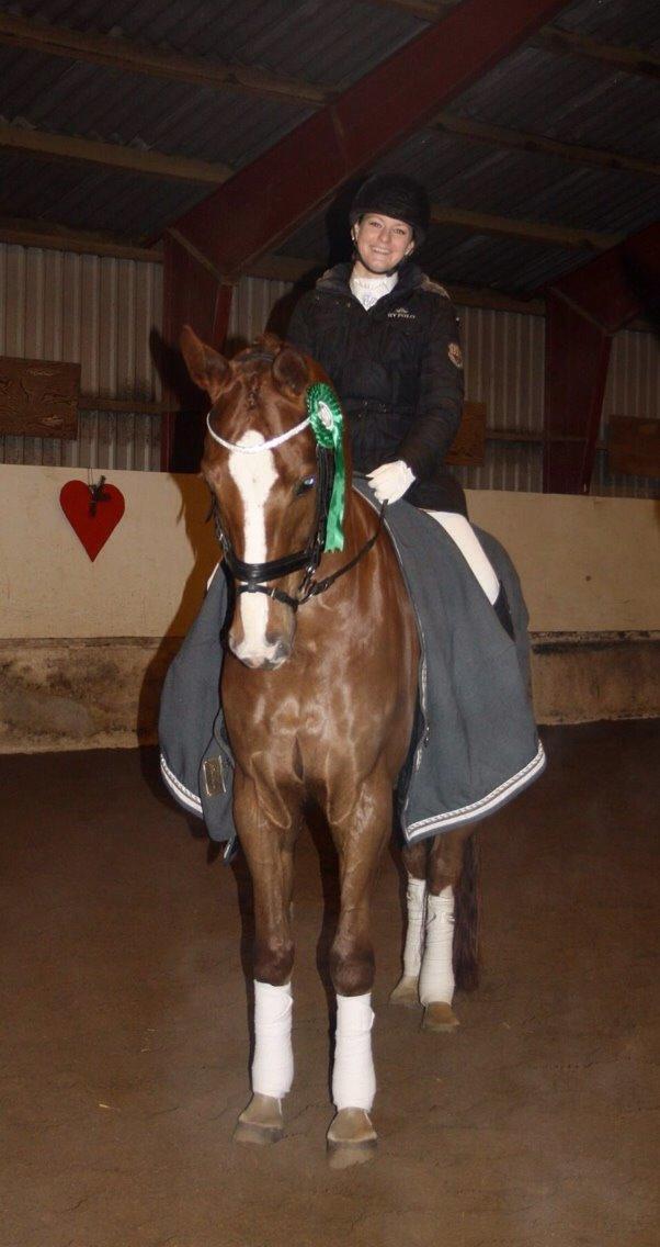 Dansk Varmblod Don Giovanni af Ovh. billede 17