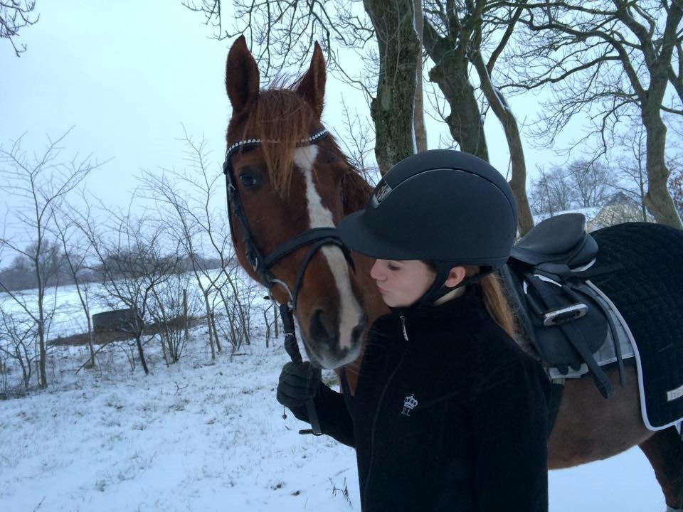 Anden særlig race Nelly billede 10