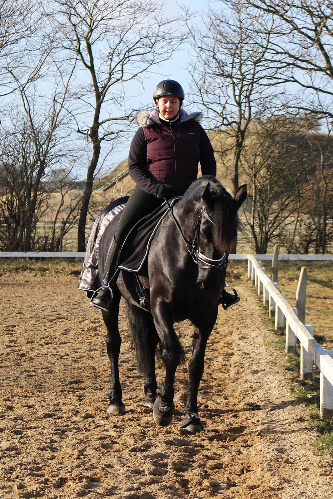 Frieser Shetana af Vanaheim - 10.03.15 Traversade billede 16