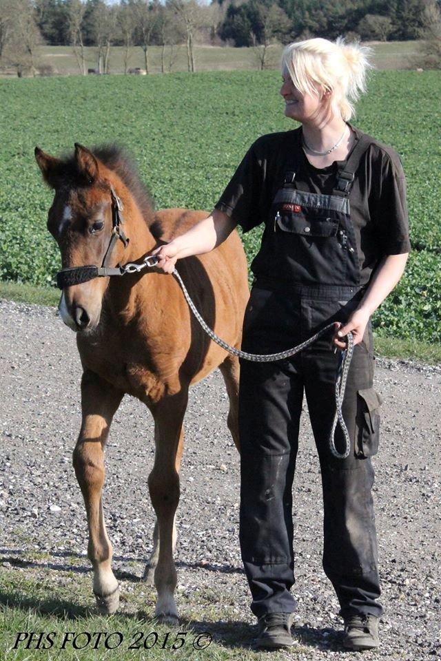 Anden særlig race Nuit d'hiver Felix - Ude og gå tur med mor og Pia billede 2