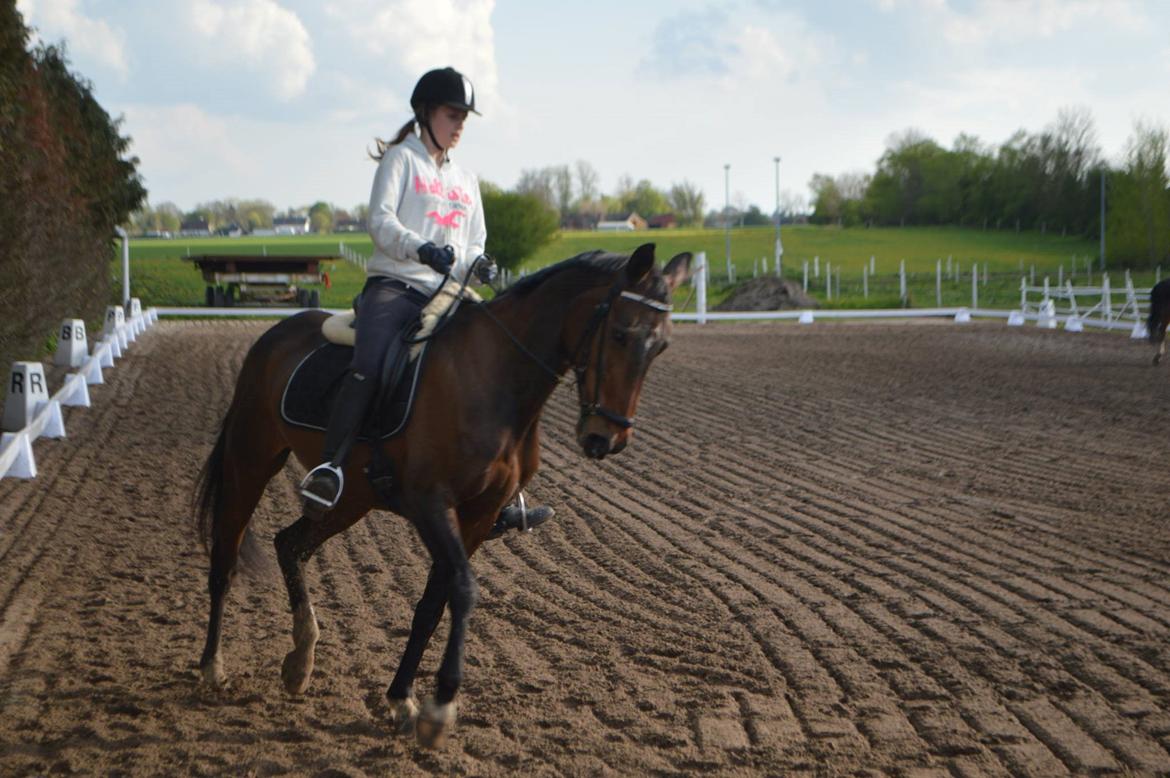 Anden særlig race Amy (SOLGT) - Elsker hende så meget !! <3<3  billede 6