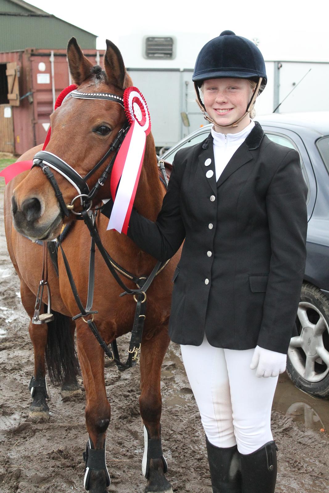 Anden særlig race Lilo - 2 røde på ØKR billede 3