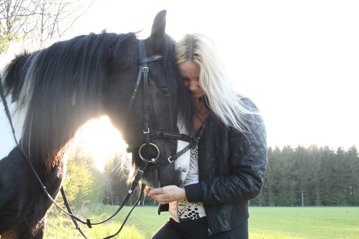 Irish Cob Fanny. ..solgt  billede 1