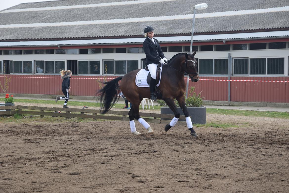 Oldenborg Overmoselund´s Conti billede 12