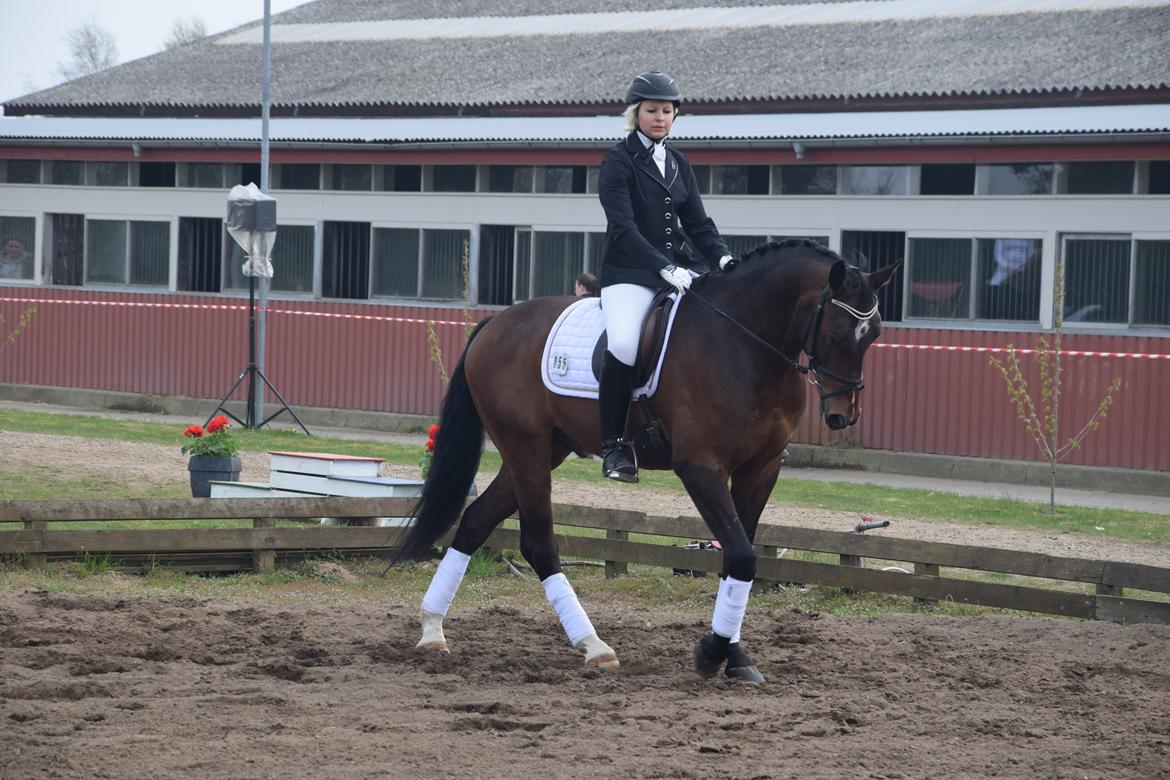 Oldenborg Overmoselund´s Conti billede 14