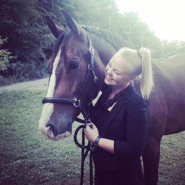 Oldenborg Stald Højgårds Cæsar billede 10