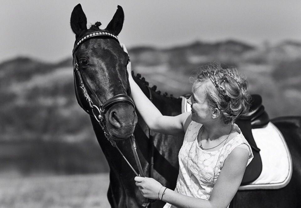 Welsh Partbred (Sec F) Laibek's Fulton - "B" pony !!!! billede 7