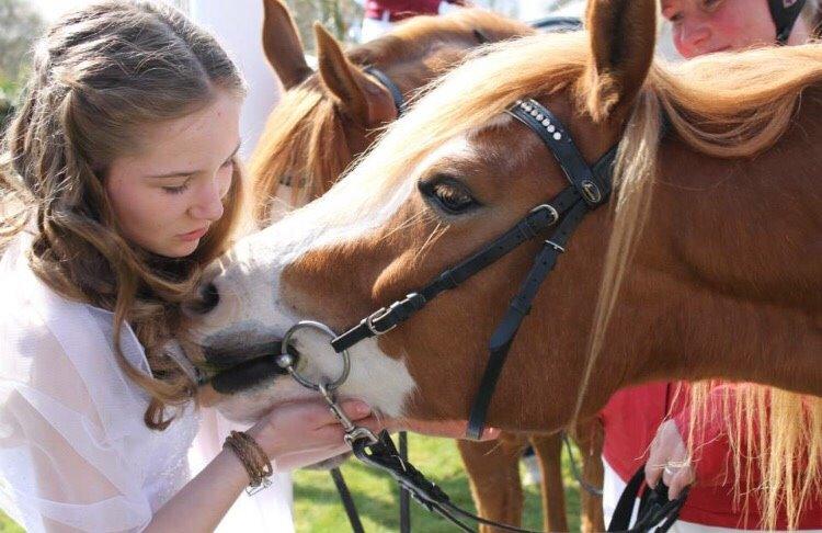 Welsh Partbred (Sec F) Xenobia - ''Jeg smager lige engang på de perler der'' billede 9