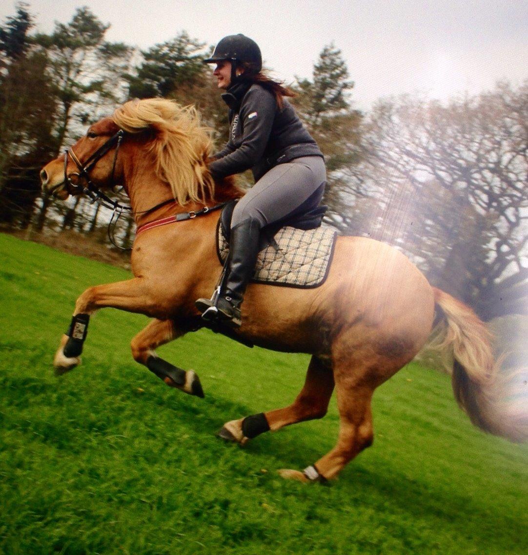 Anden særlig race Elvis billede 13