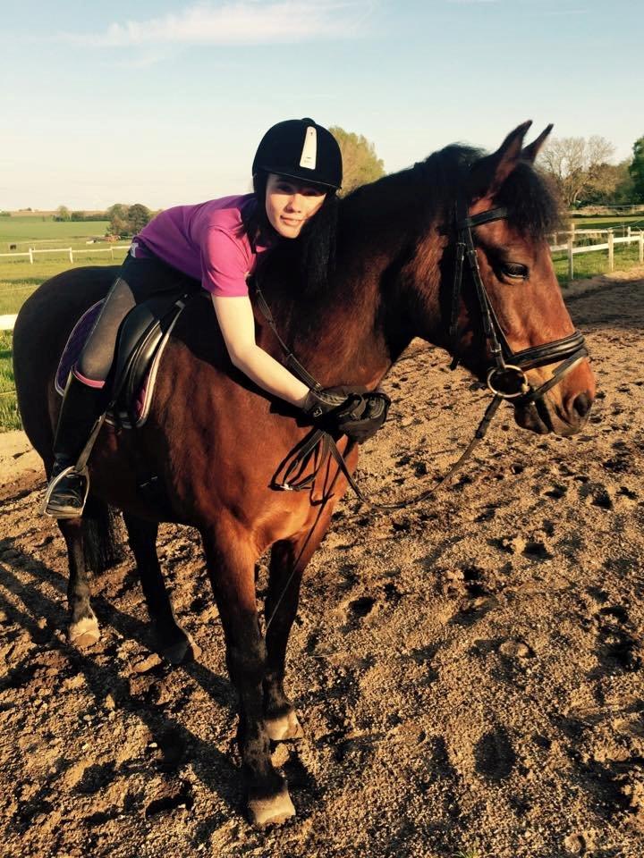 New Forest Baltazar - Foto: Lizette Jensen (2015) billede 19