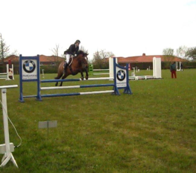 New Forest Birkilds Veronica billede 20