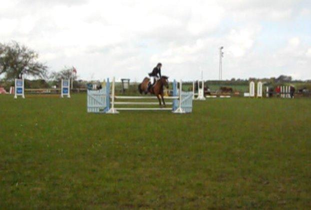 New Forest Birkilds Veronica billede 14