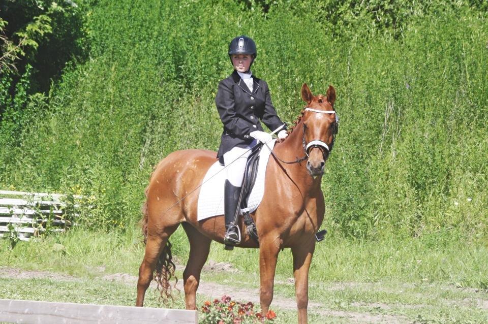 Palomino Argento<3 (rød) billede 2