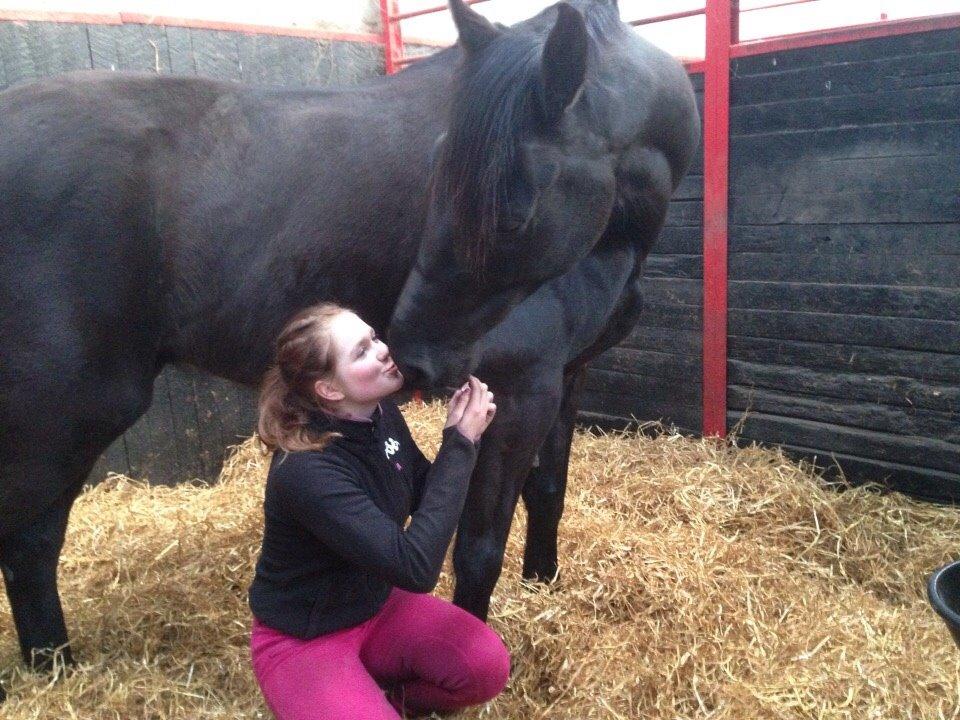 Anden særlig race Meulengracht`s Don Cordoba  billede 13