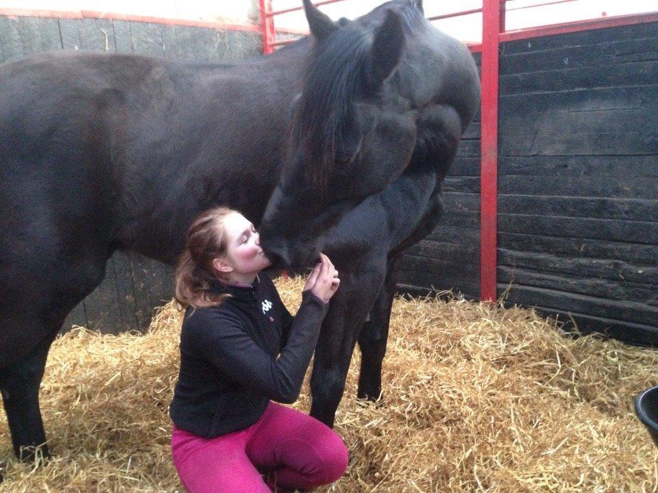 Anden særlig race Meulengracht`s Don Cordoba  billede 14
