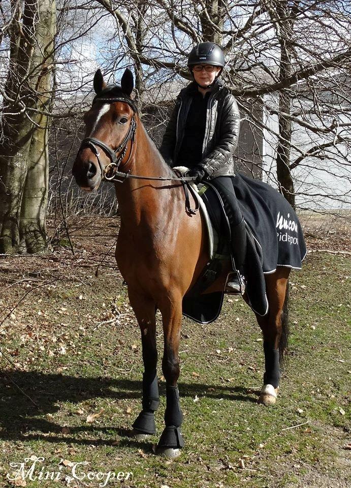 Tysk Sportspony Mini Cooper 5 billede 3
