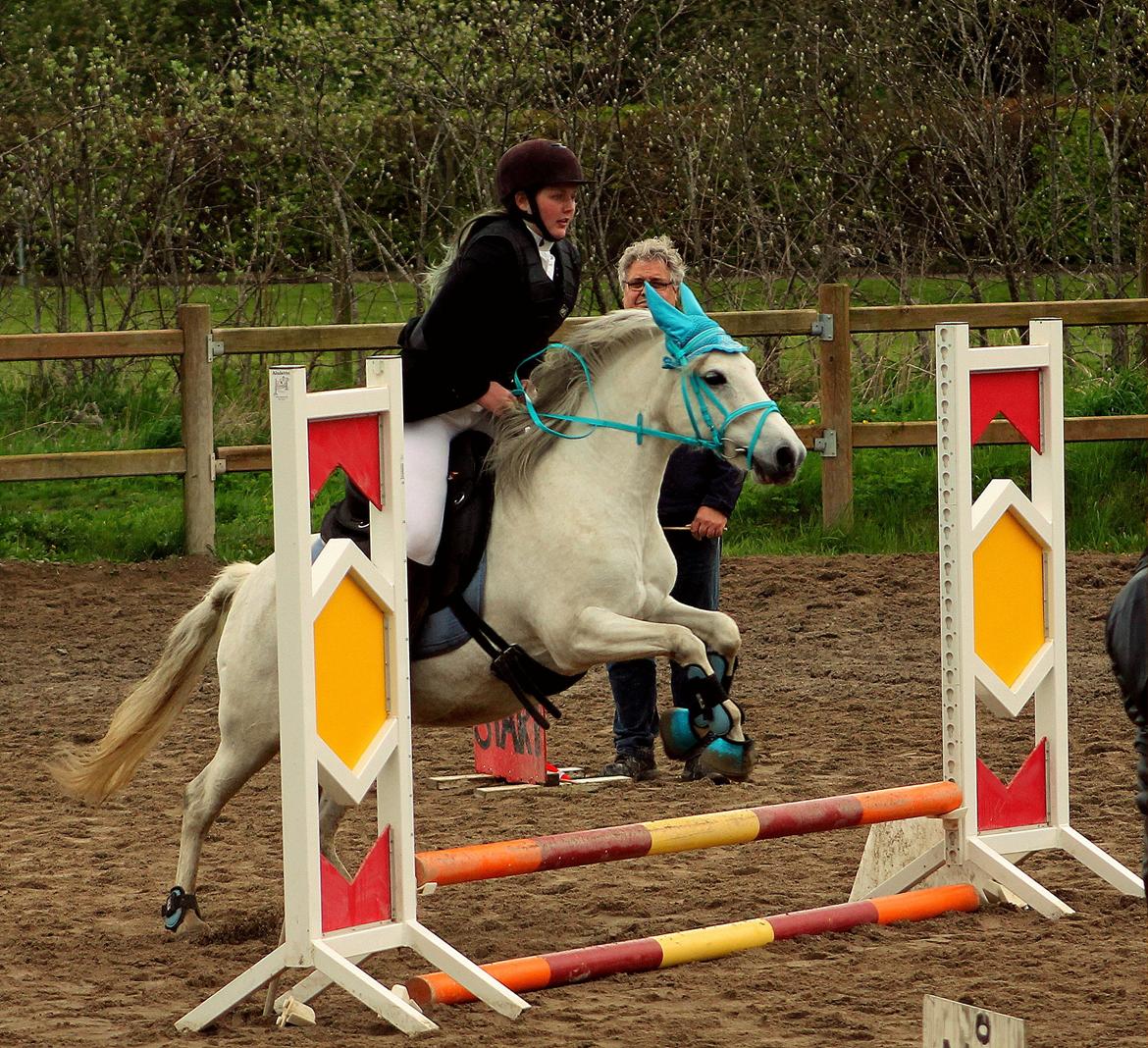 DSP Natash *Min soulmate&Dulle1* - 09-05-2015 40cm stævne <3. billede 19