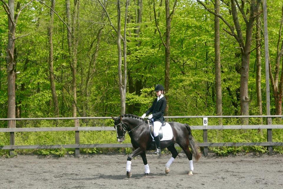 New Forest Southforks Athos - Stævne på Lundtofte 9/5 2015 - Foto: Ida Eriksen billede 20