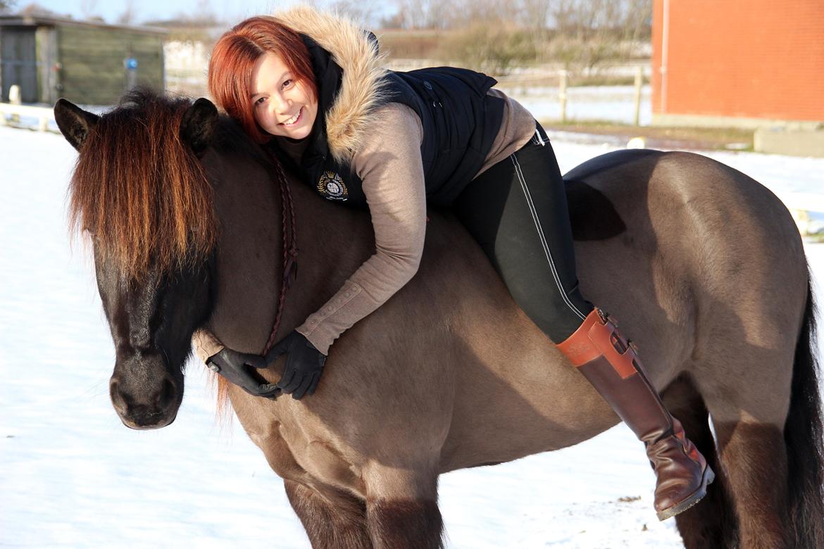 Islænder Stari harrested - 24.01.15 Elsker min Buller... billede 16