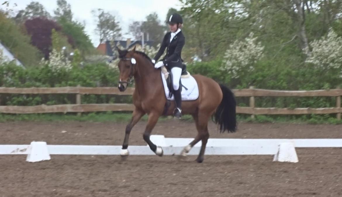 DSP Kenobi - LB2 HYOR 9.5 2015 billede 8