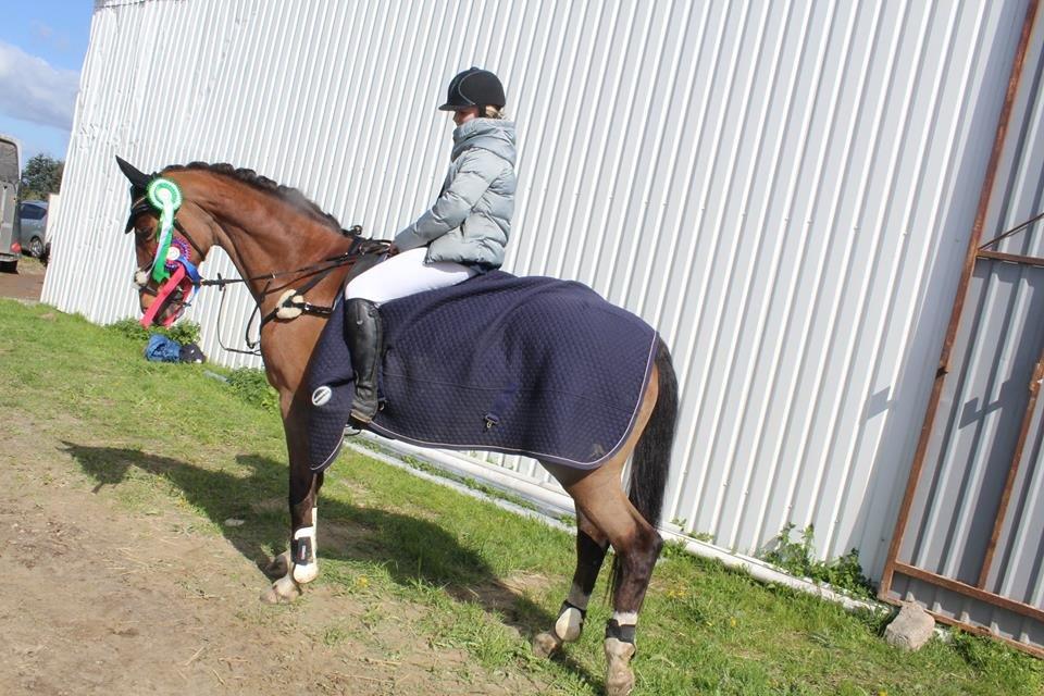Dansk Varmblod Ørstedslunds Lucky Lady. <3 billede 20