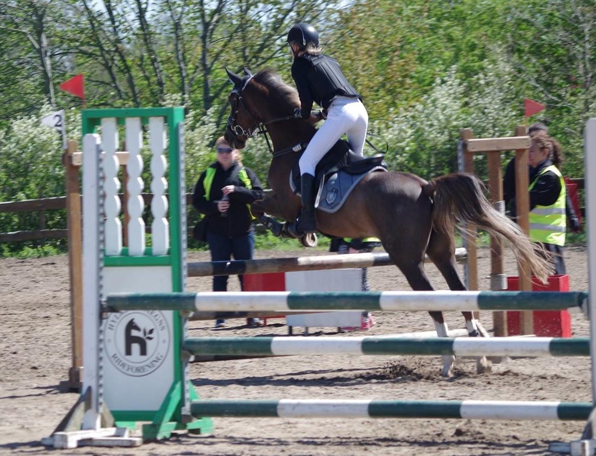 DSP Cæsar  billede 18